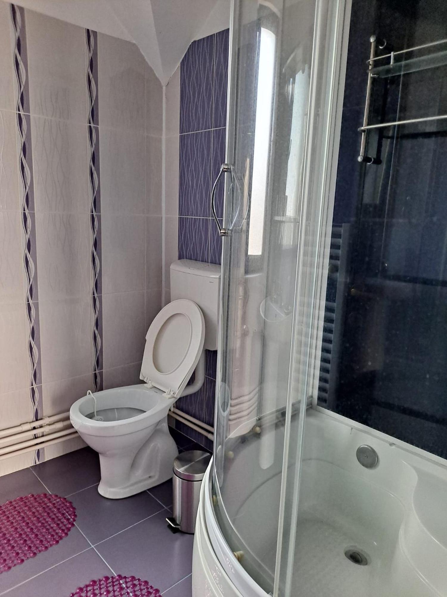 Homestay La Mama Marta Sovata